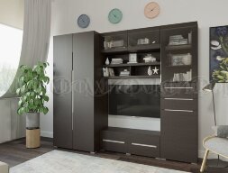 Тумба ТВ с двумя дверями и ящиками ТБ-006 Эколь